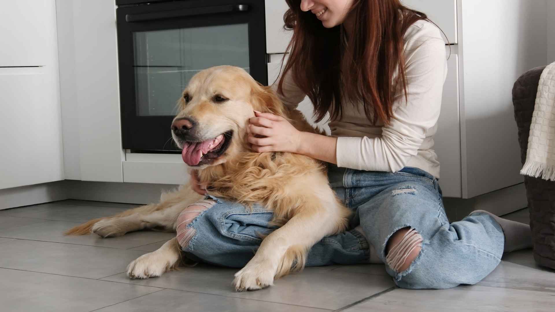 8 Most Easiest Dog Breeds To Own & Love