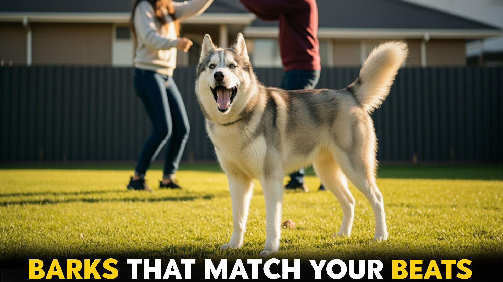 9-Dog-Breeds-That-Bark-Happily-When-Owners-Dance