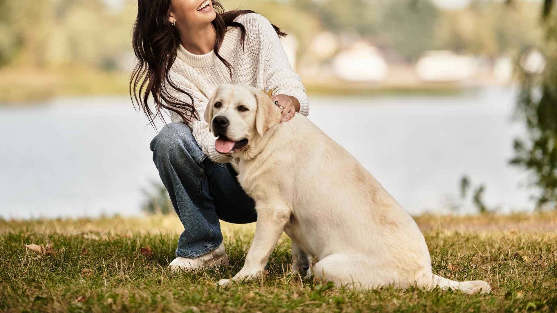 9 Loyal Dog Breeds That Will Die For You