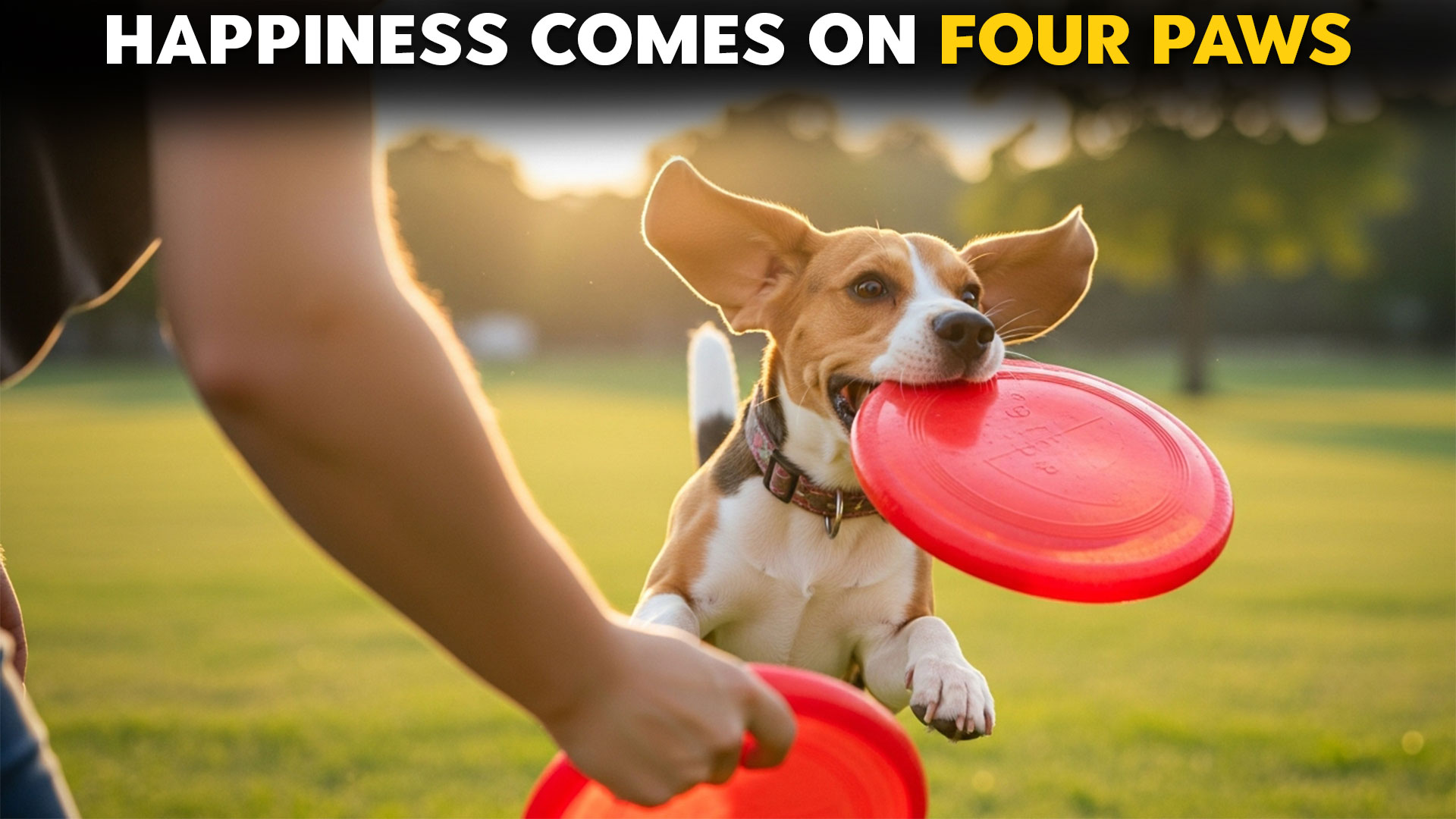 Best-Dog-Breeds-For-Creating-Joyful-Moments
