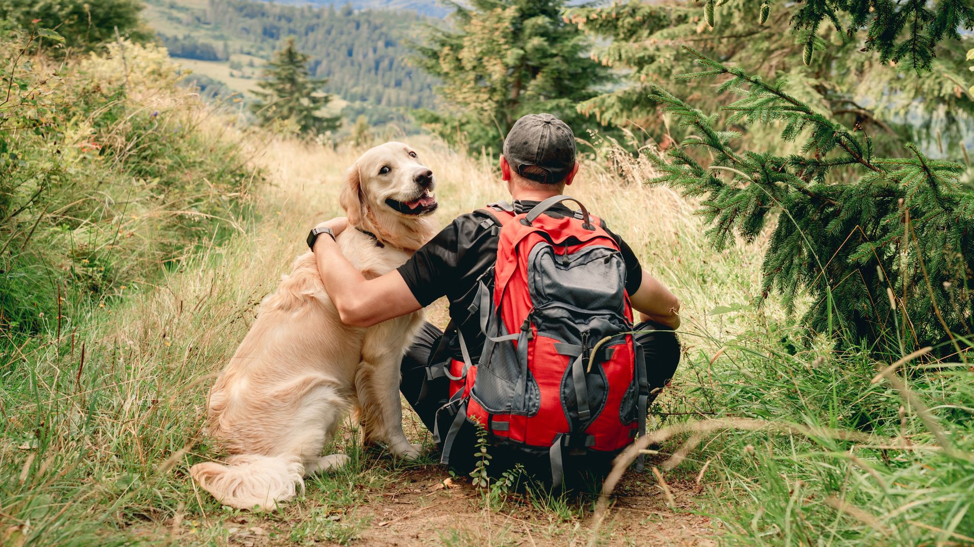 Best Dog Breeds for Country Living & Travel Adventures