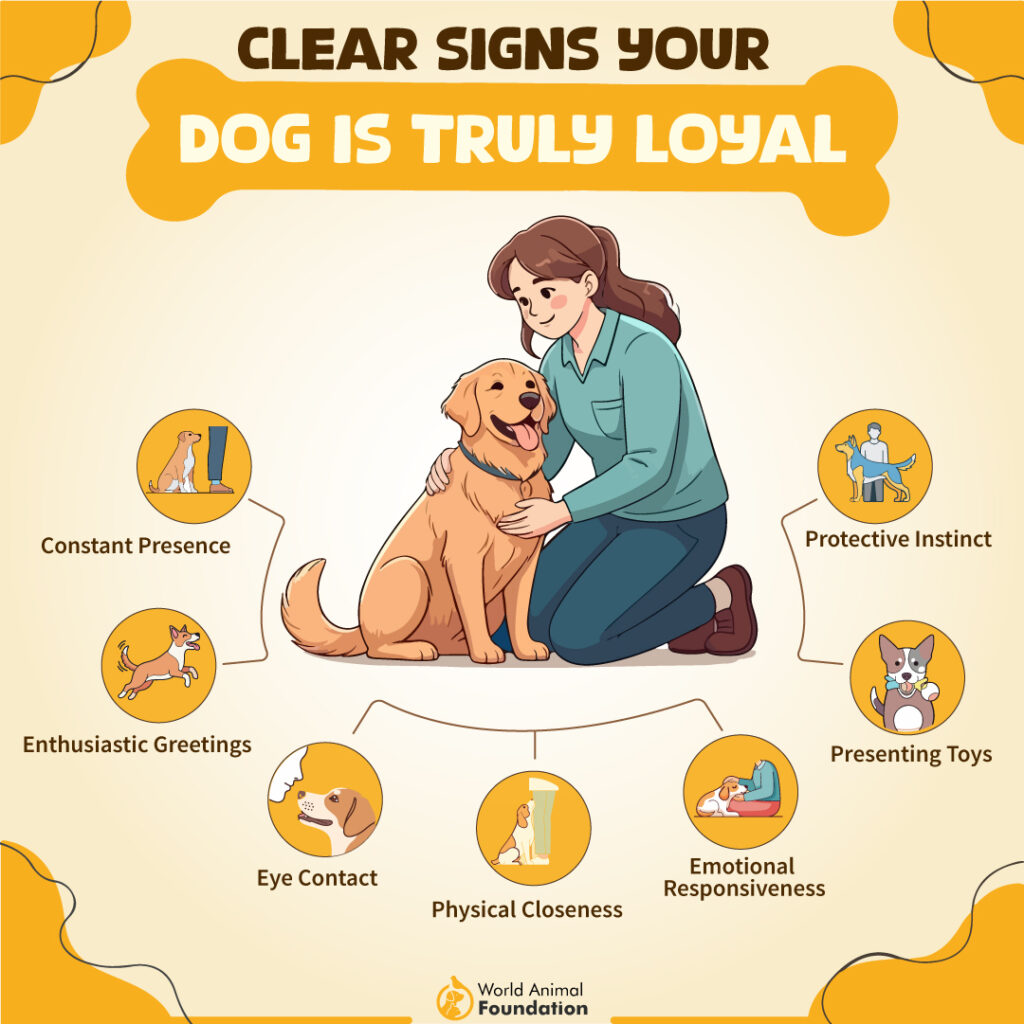 Are Dogs Loyal to Owners-01 (1)
