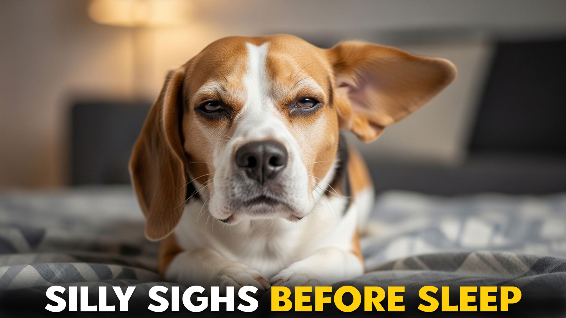 7 Dog Breeds That Make Funny Sighing Faces Before Naps