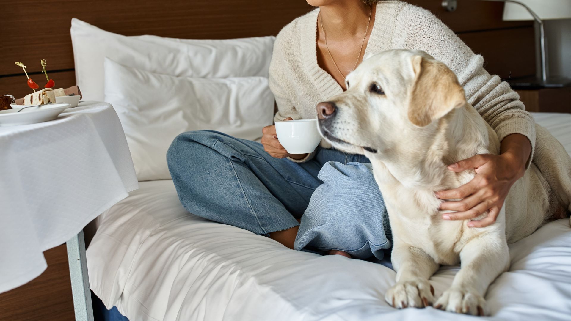 Dog Breeds That Stay Quiet Even in Pet-Friendly Hotels