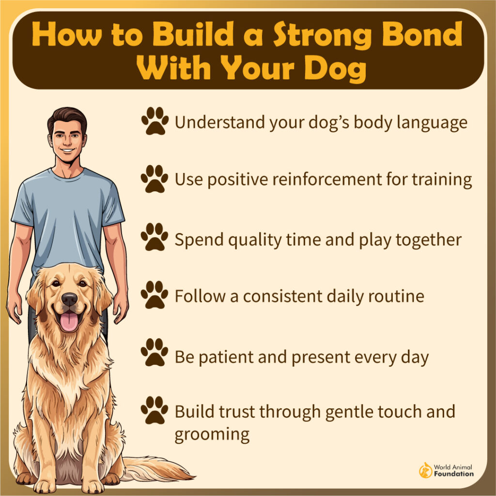 How to Build a Strong Bond With Your Dog-01