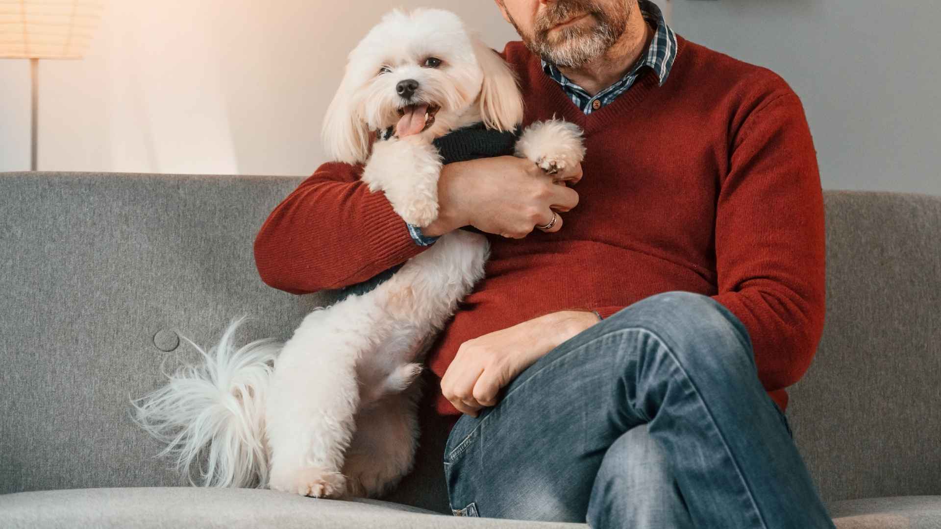 10 Coolest Tiny Dog Breeds That Make The Perfect Pets