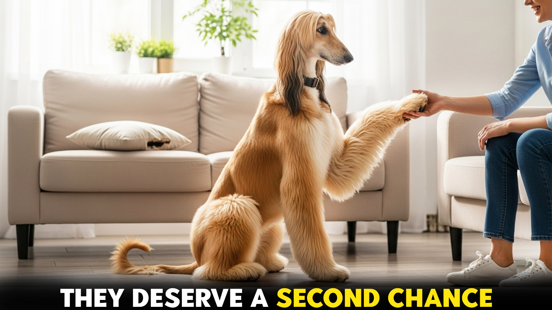 10-Worst-Dog-Breeds-That-Deserve-A-Second-Chance