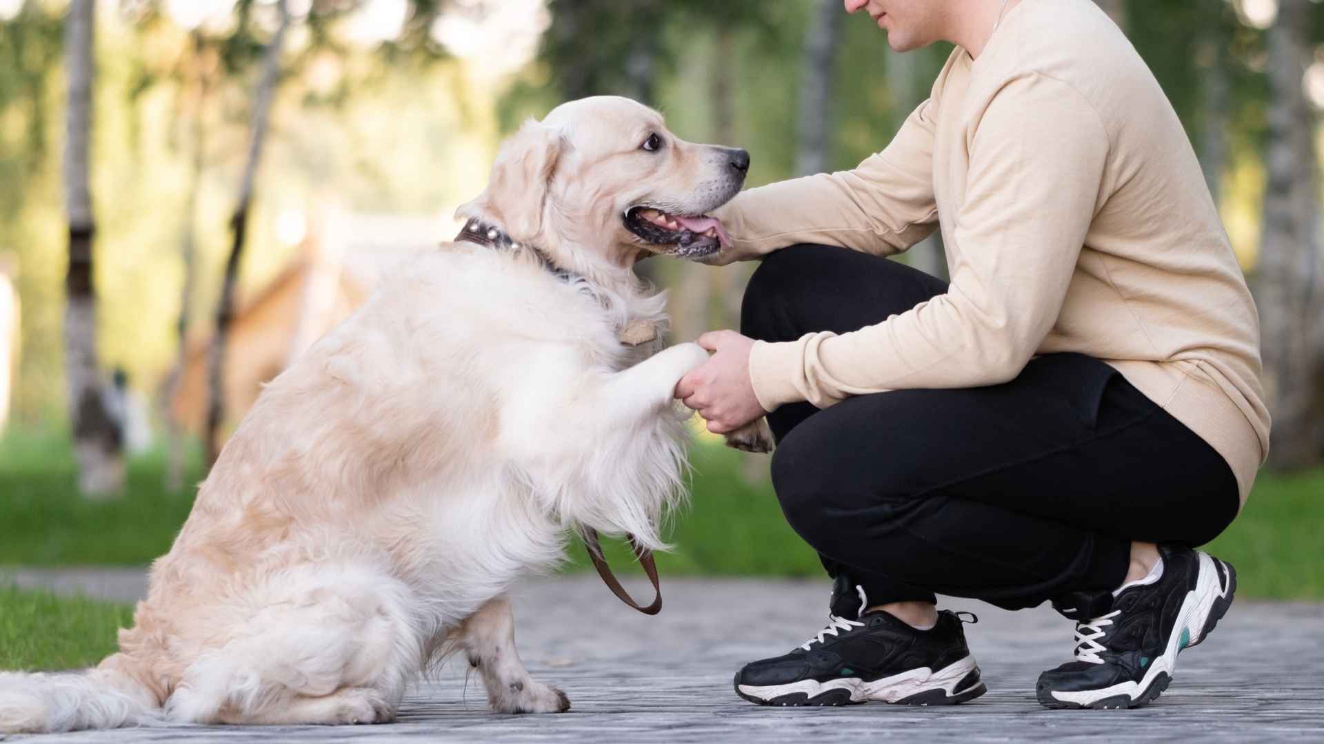 11 Loyal Dog Breeds With Heart Of Gold