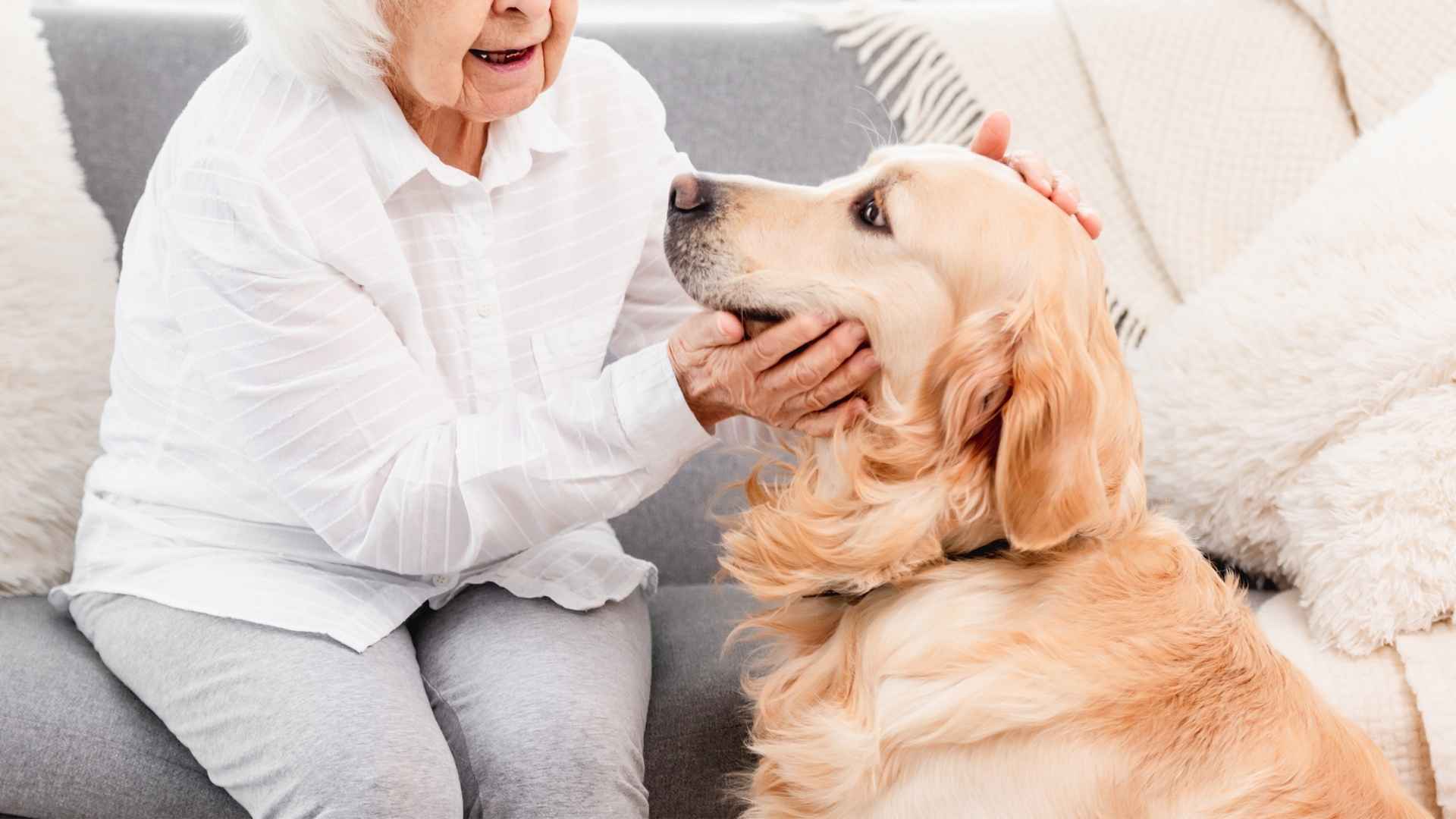7 Best Easygoing Dog Breeds For Seniors