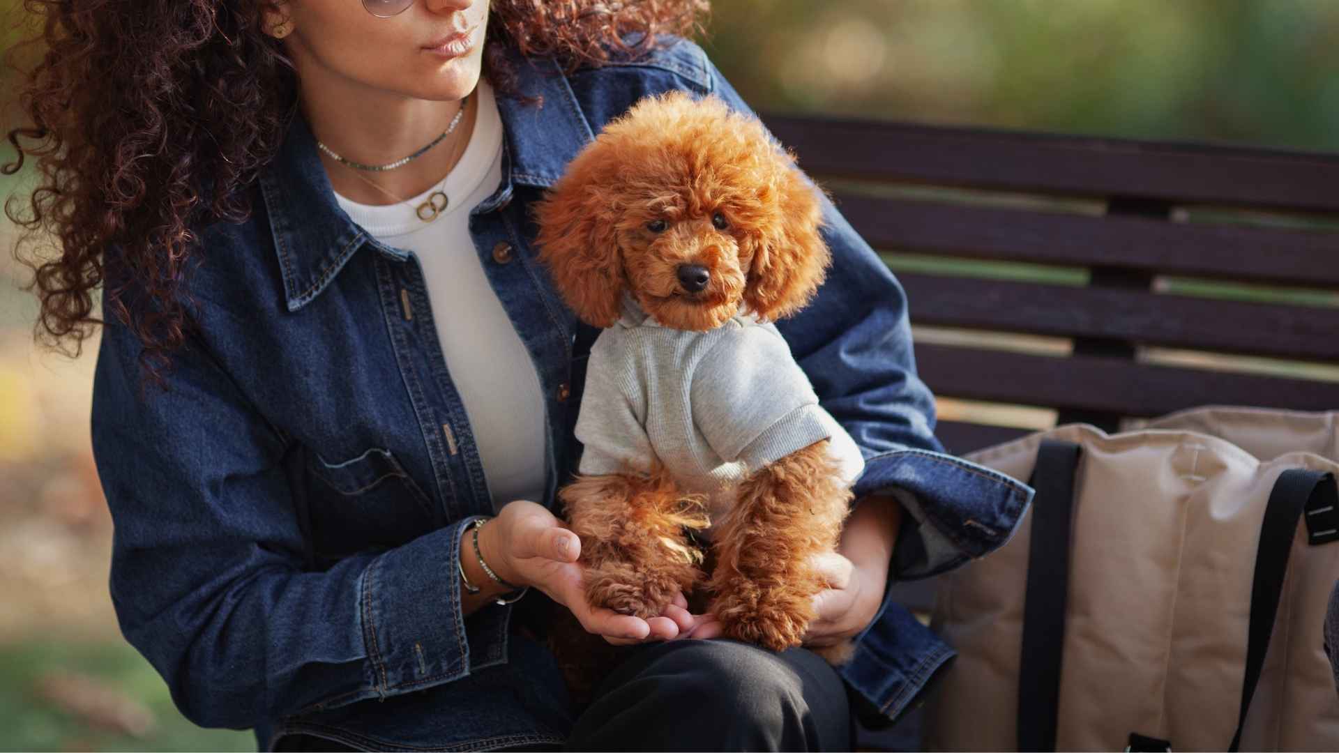 7 Best Loyal Dog Breeds For Forever Friendship