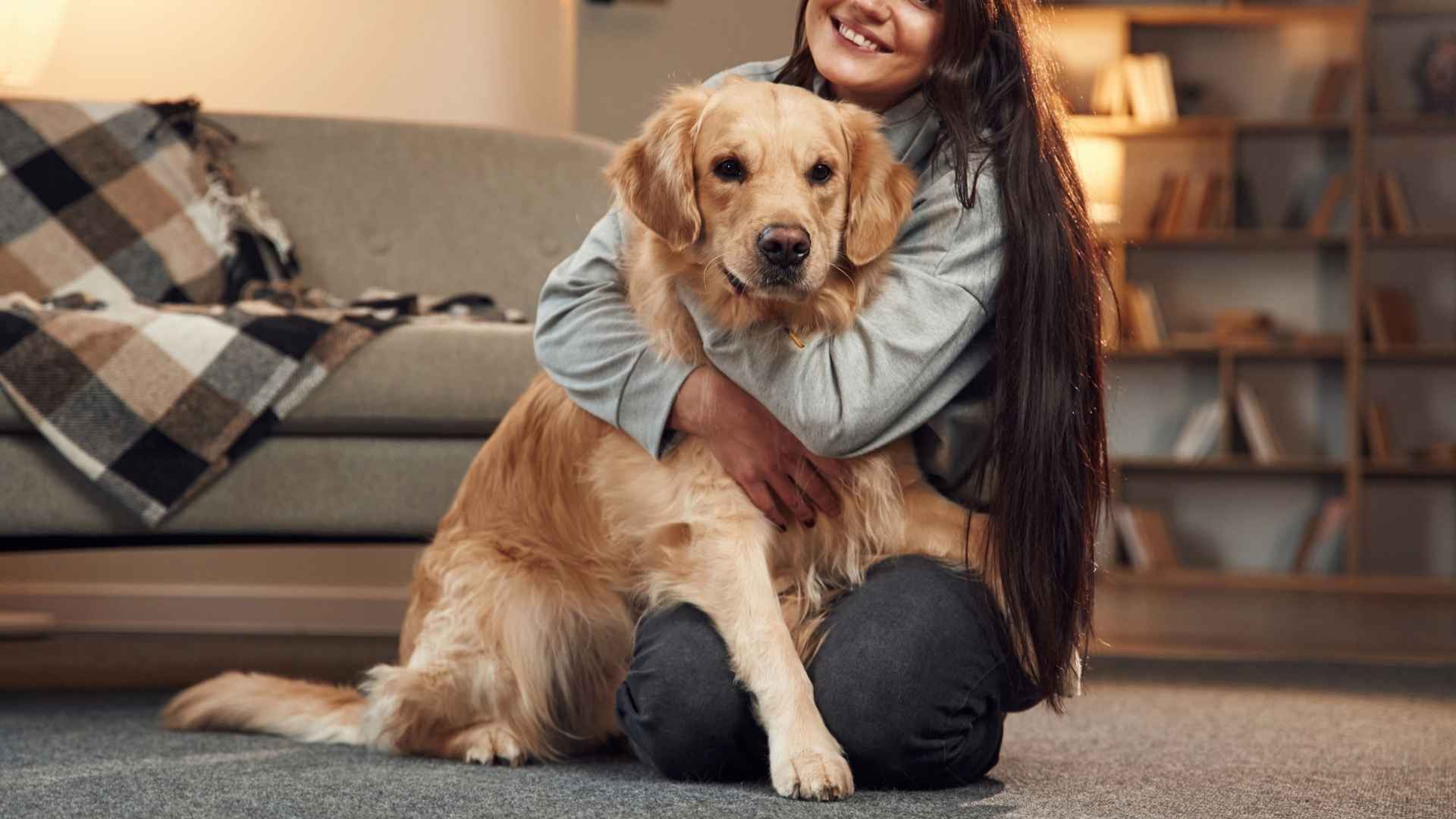 7 Dog Breeds Ideal for First-Time Owners Perfect Companions Await