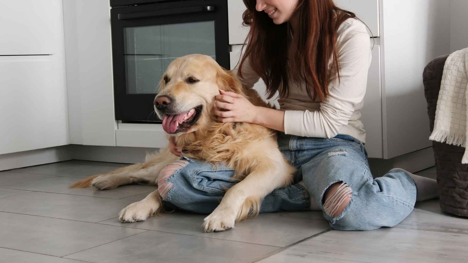 7 Dog Breeds That Thrive On Human Attention