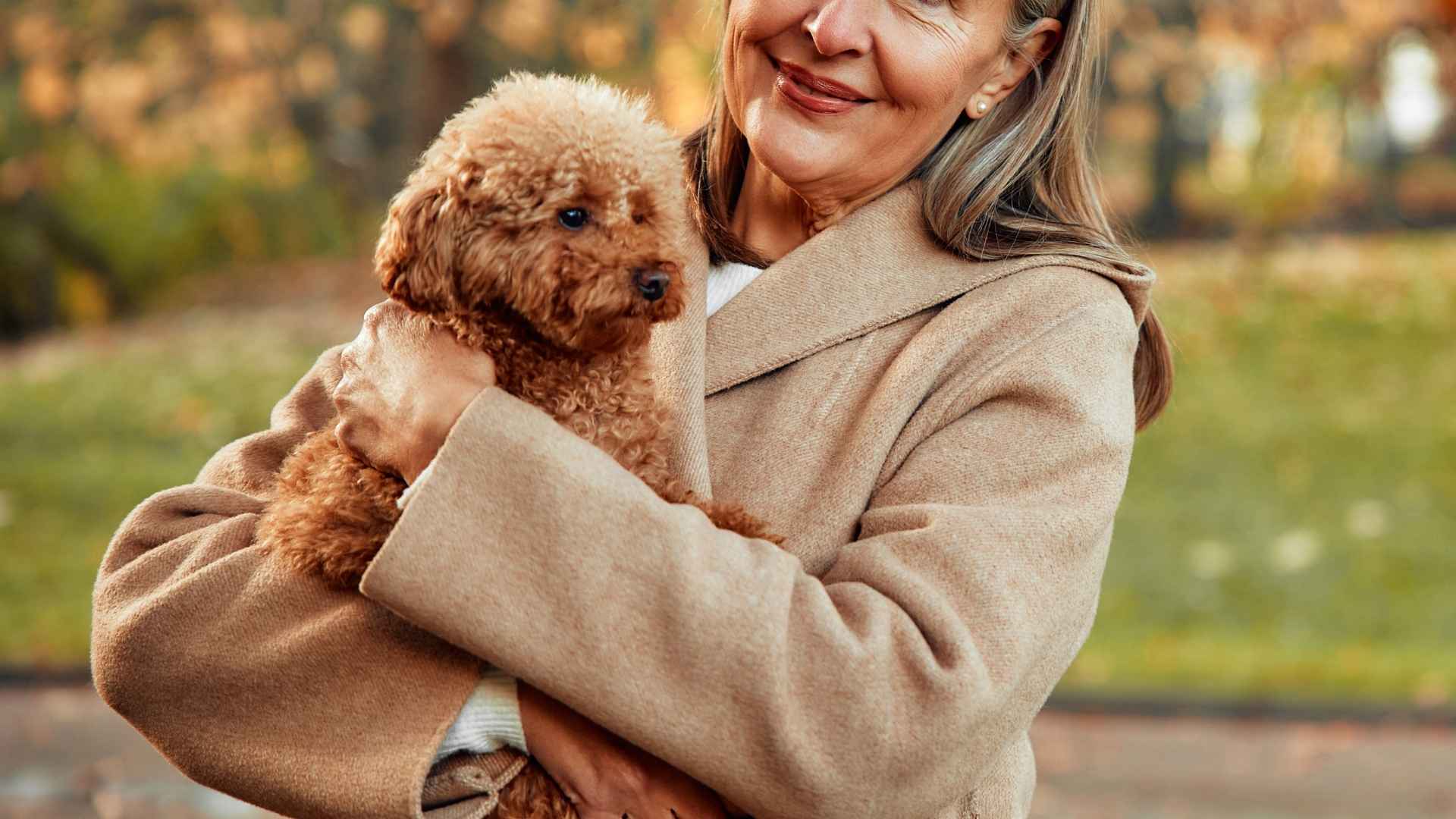 7 Most Healthy Dog Breeds Suitable For Seniors