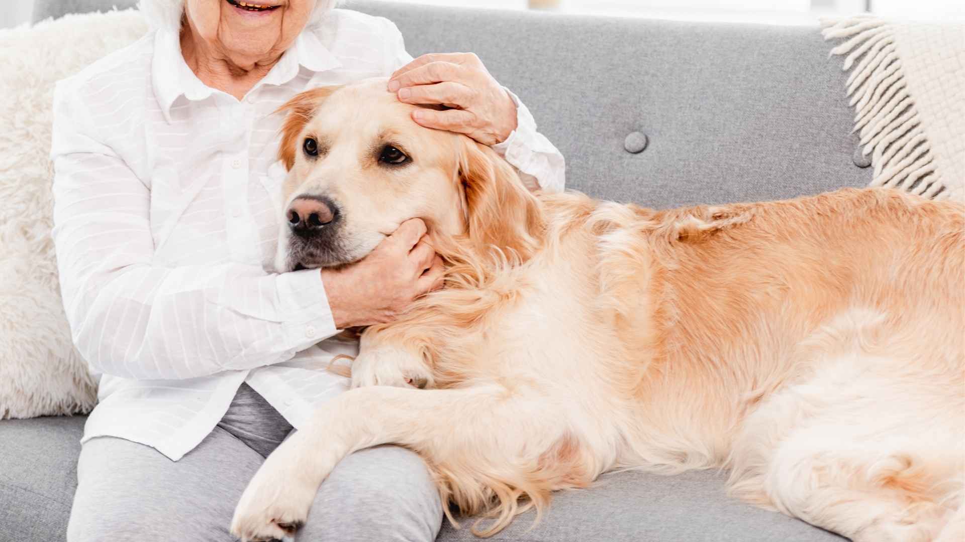 7 Relaxing Dog Breeds Perfect For Senior Citizens