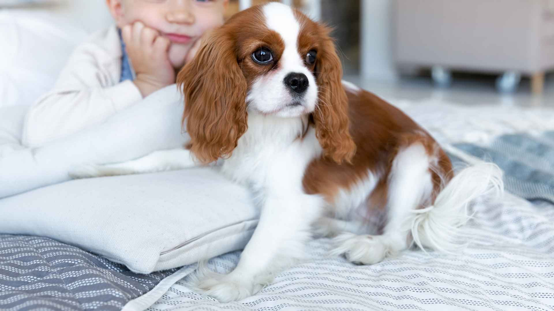 7 Well-Behaved Dog Breeds that Thrive with Children