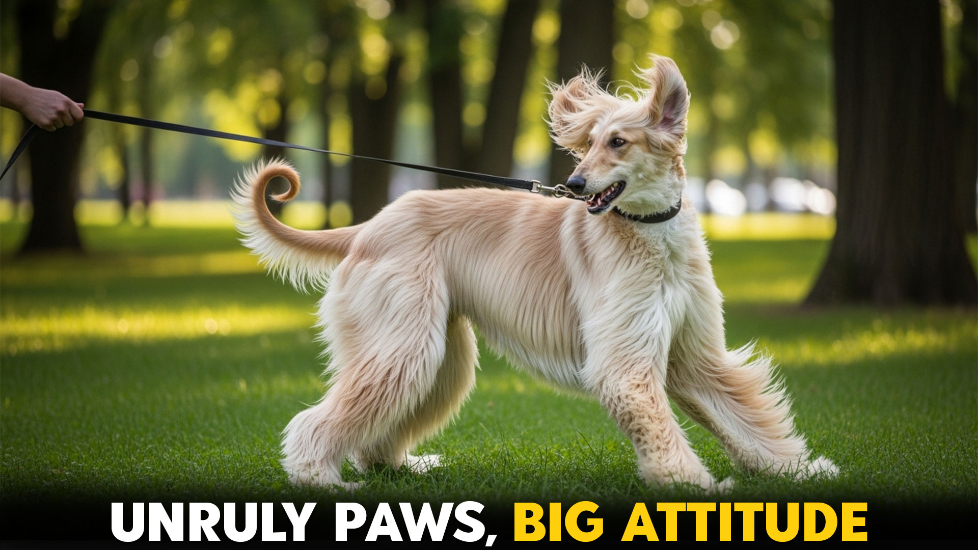 7-Worst-Behaved-Dog-Breeds-Who-Won't-Listen-To-Commands
