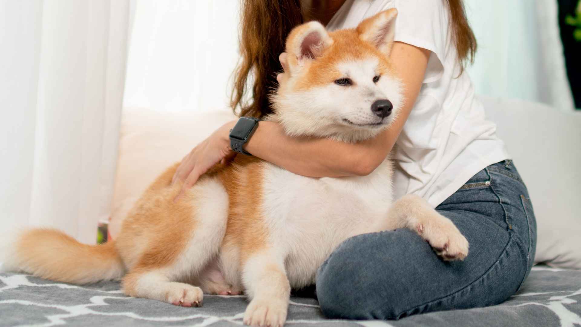 9 Best Loyal Dog Breeds for Intense Affection