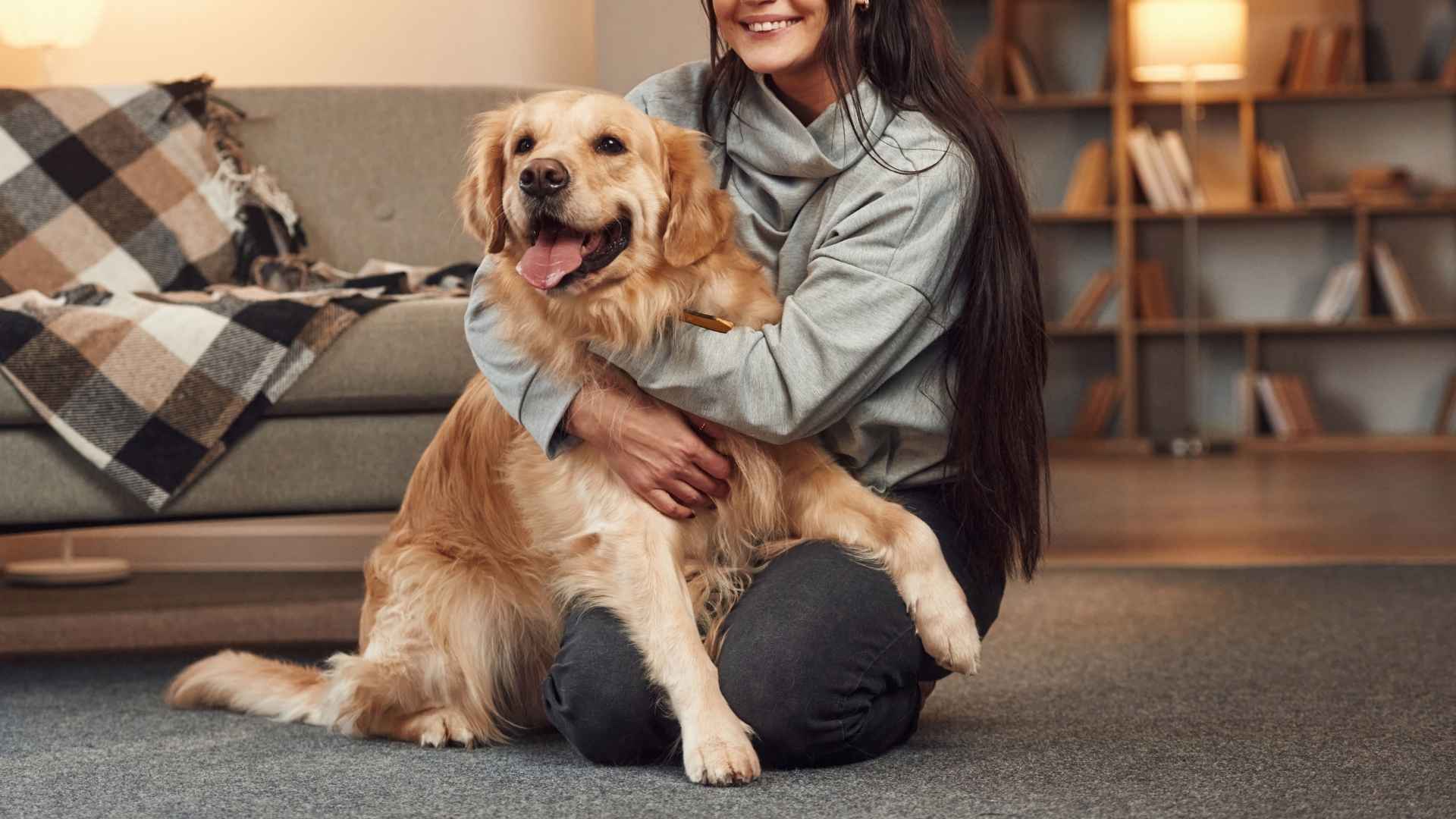 9 Dedicated Dog Breeds Loyal Partners For Life