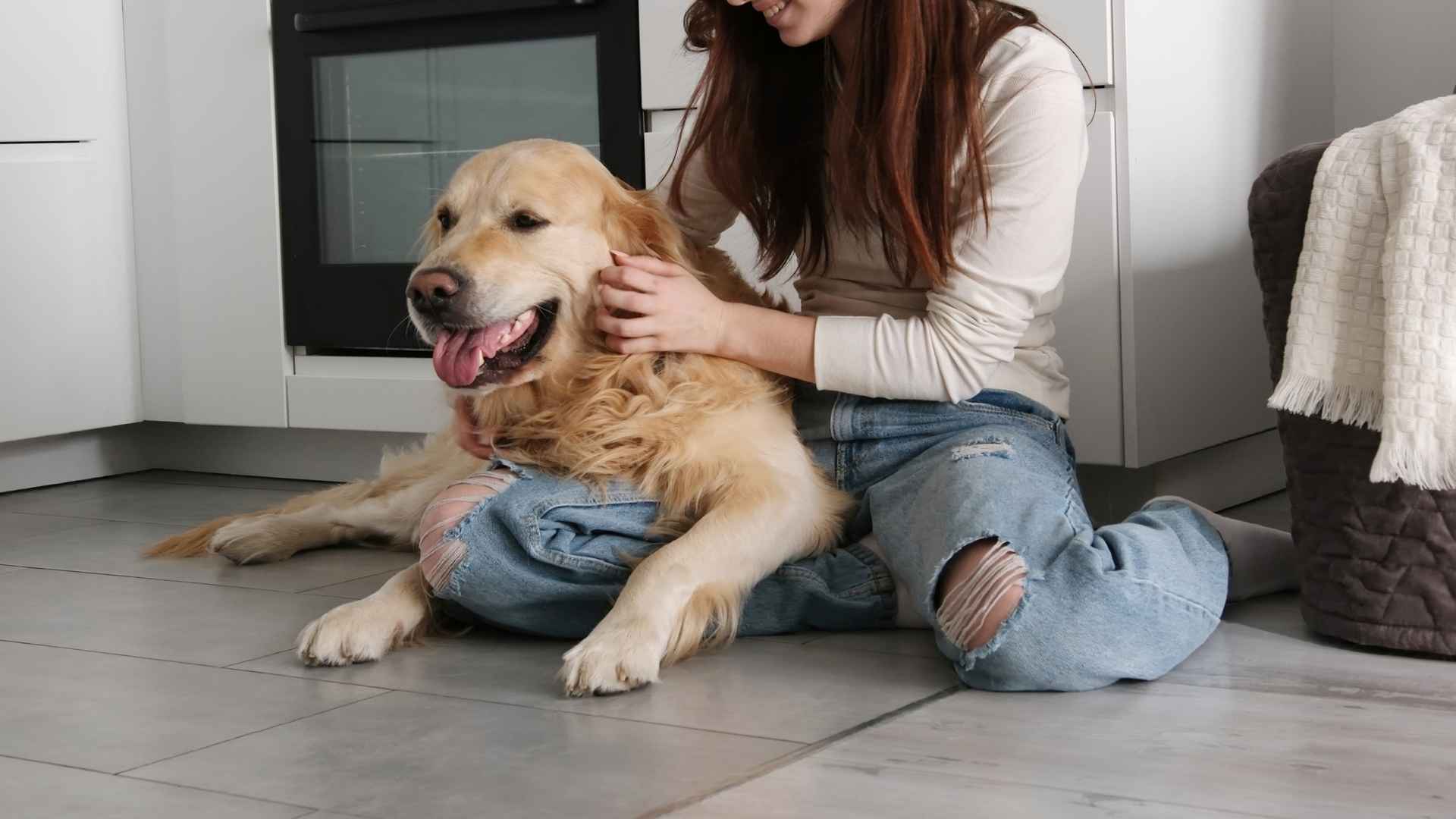 9 Dog Breeds That Will Love You More Than Anything Else