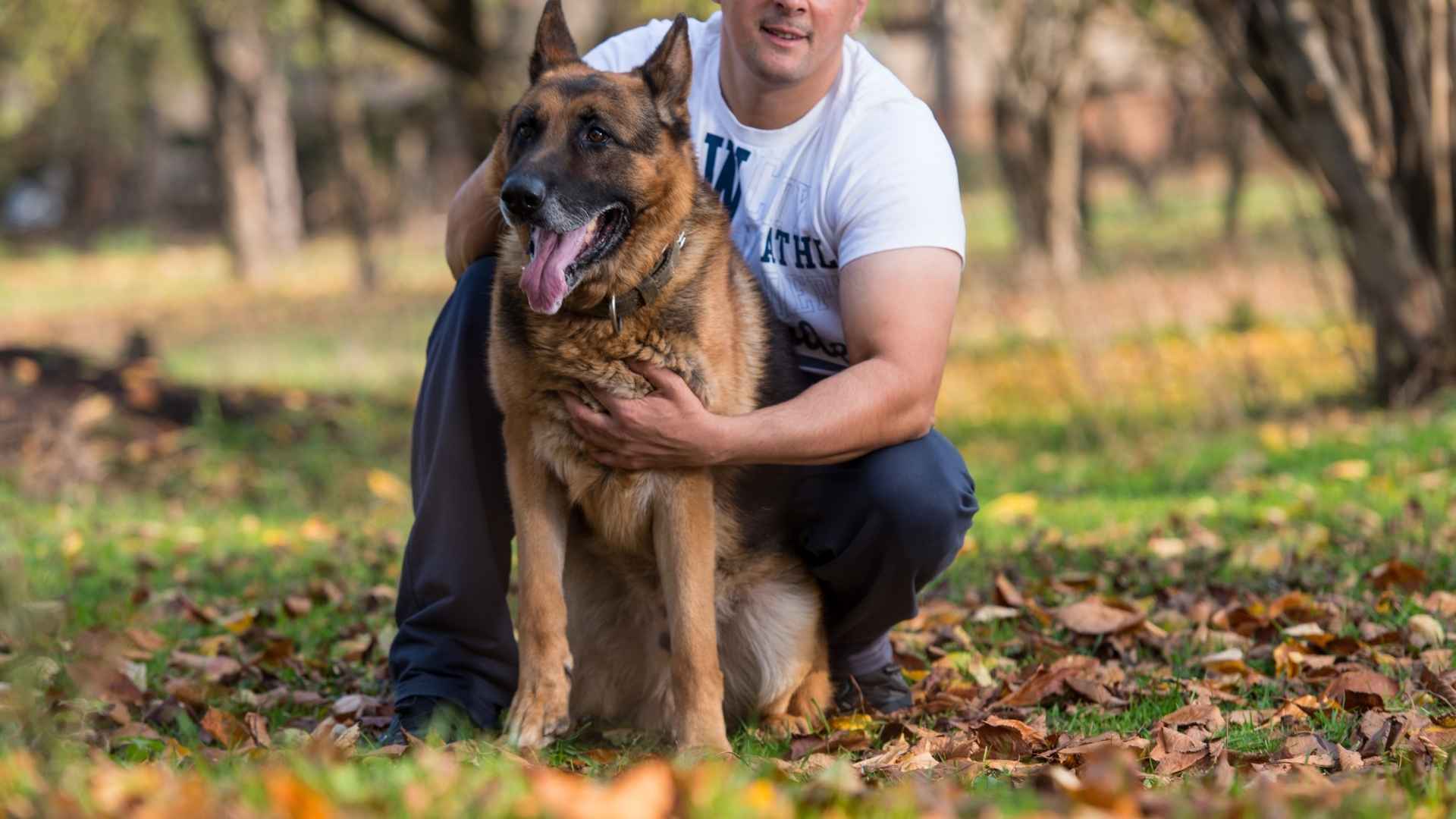 9 Most Loyal Dog Breeds That Will Always Stand By Your Side