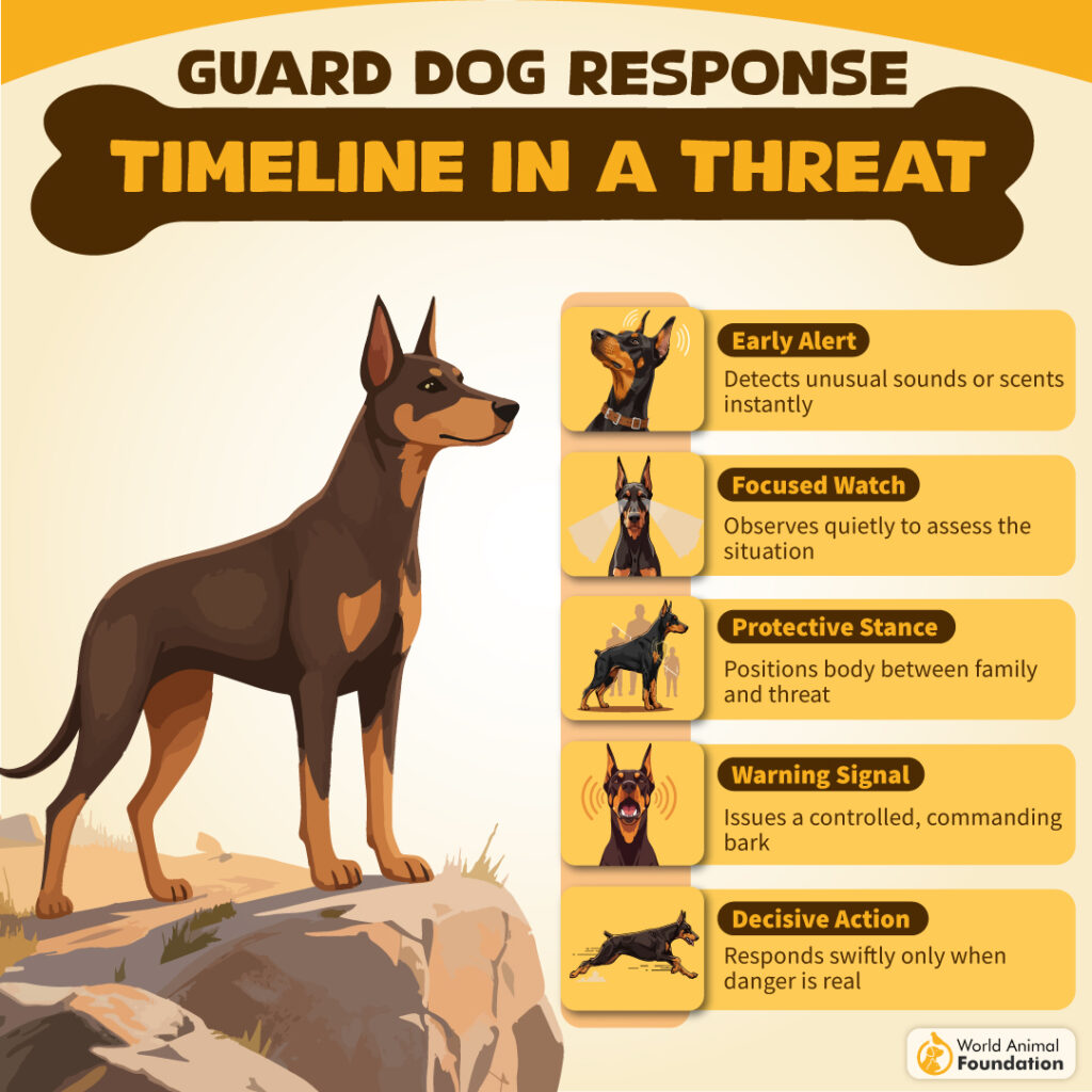 Guard Dog Response Timeline in a Threat-02