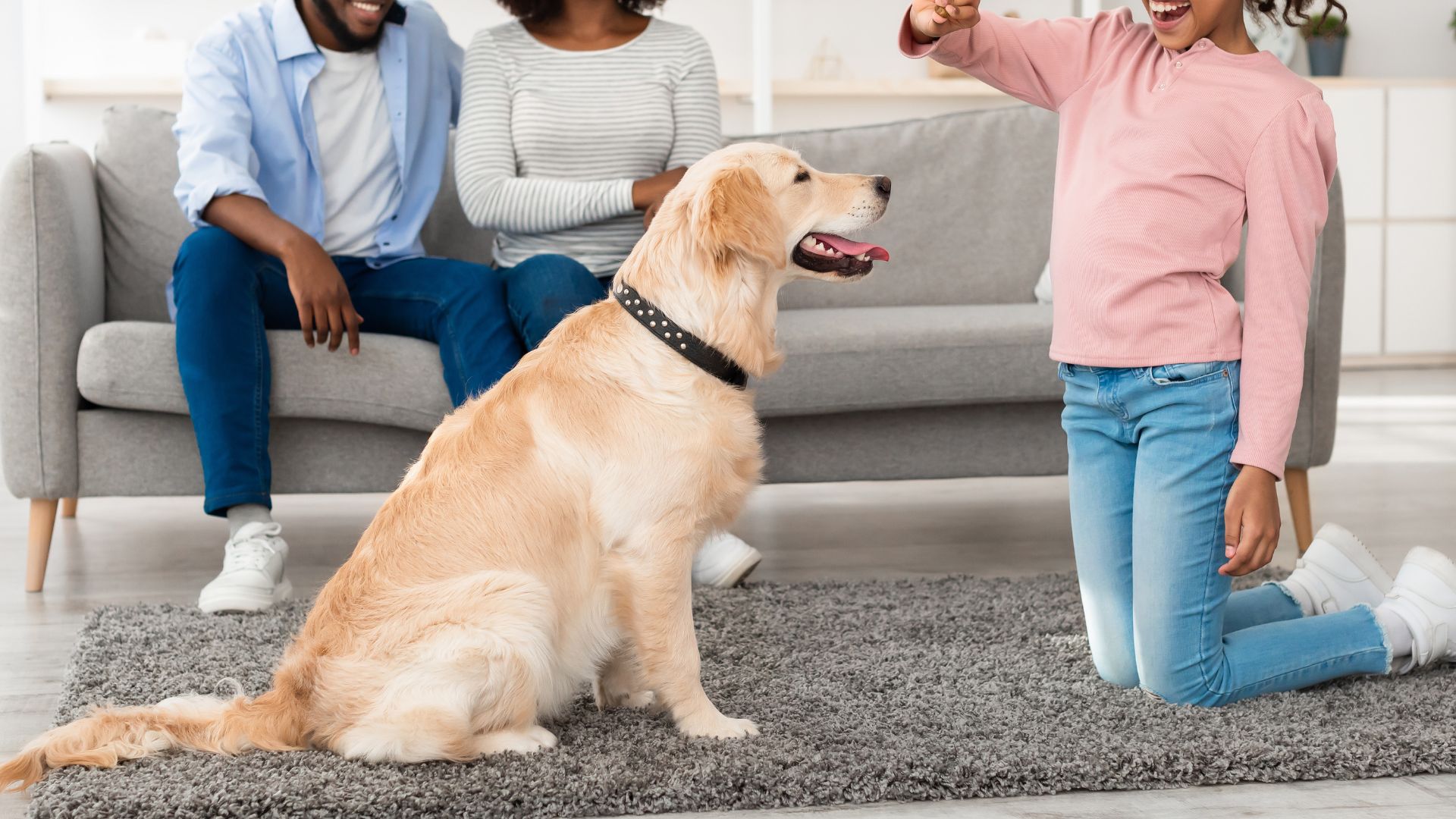 Happiest Dog Breeds For Families