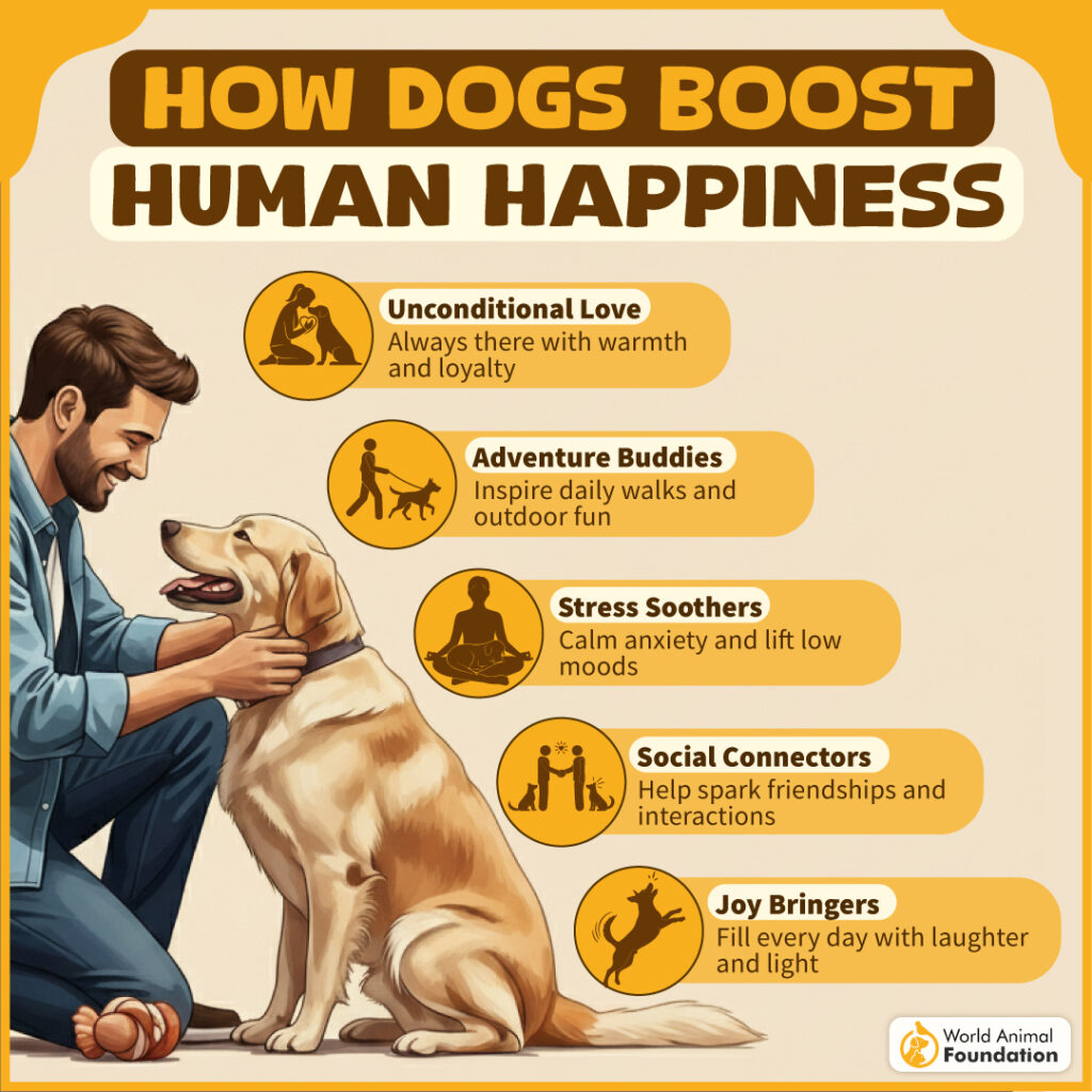 How Dogs Boost Human Happiness-02