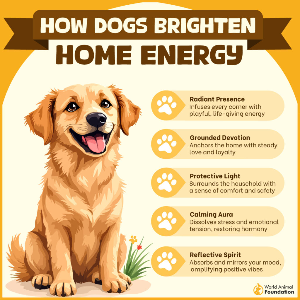 How Dogs Brighten Home Energy-02