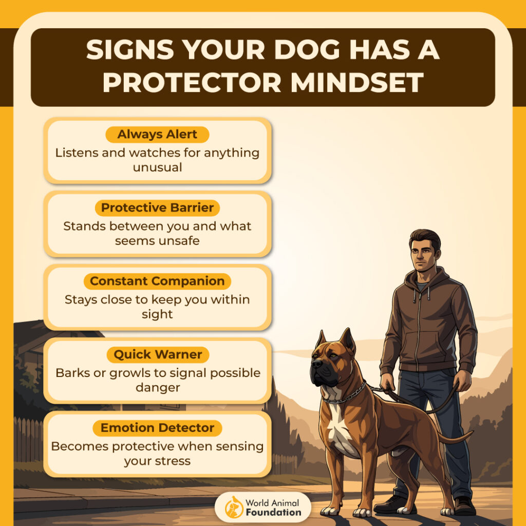 Signs Your Dog Has a Protector Mindset-01