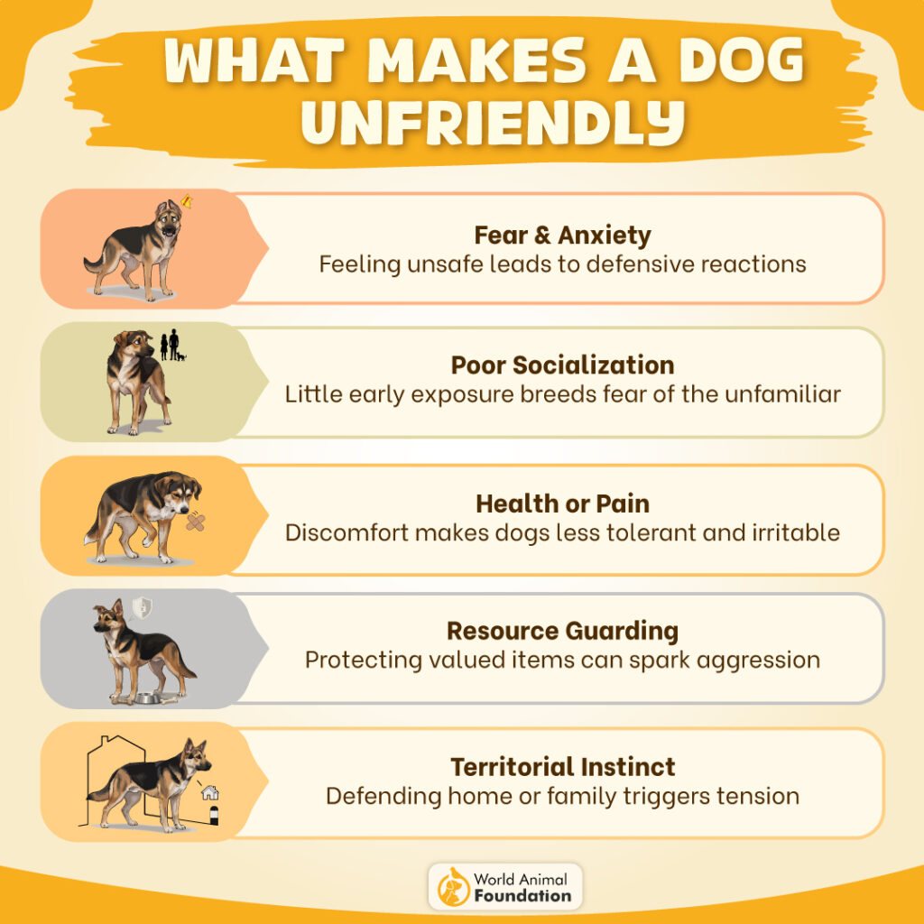 What Makes a Dog Unfriendly-01