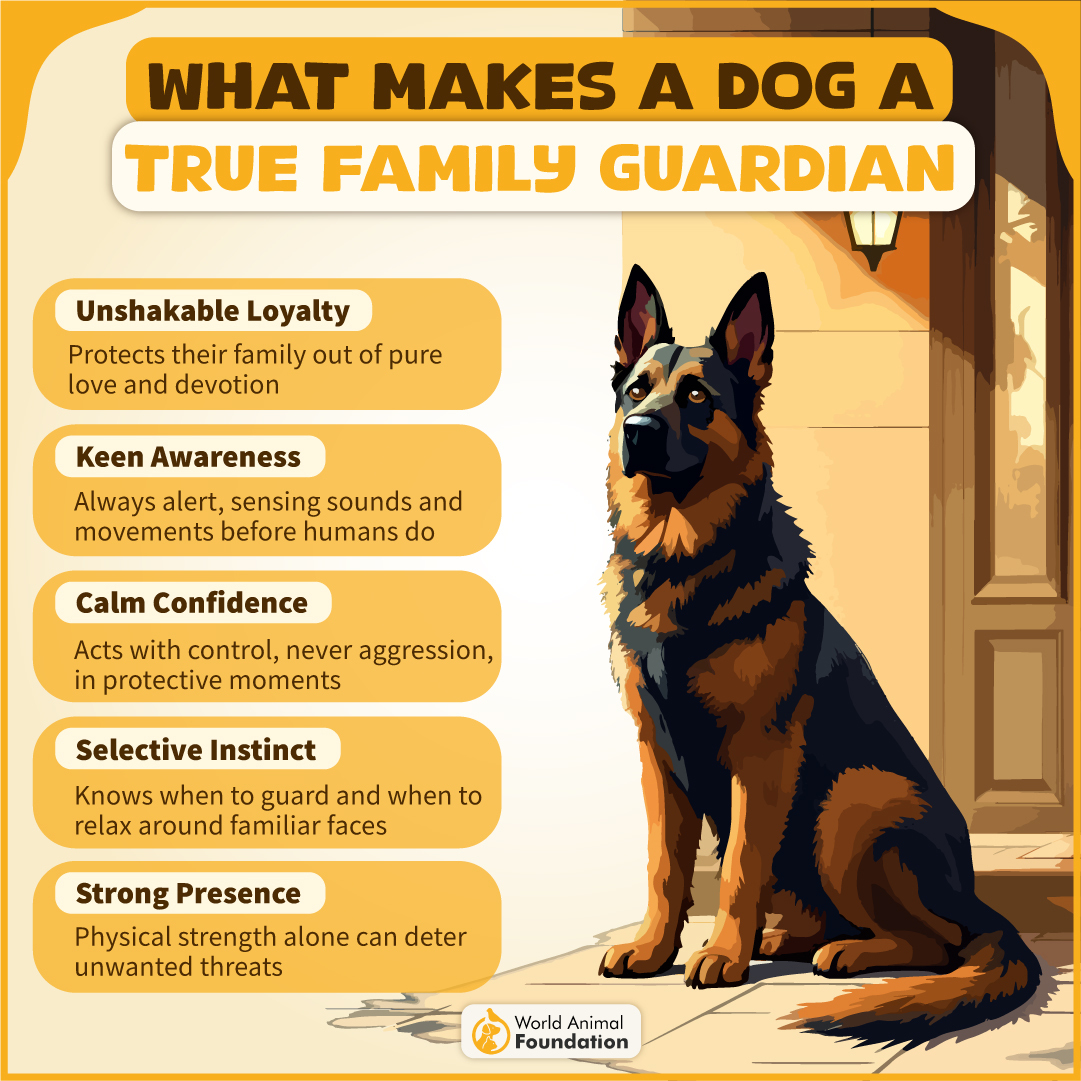 9 Best Dog Breeds As Protectors Of Families