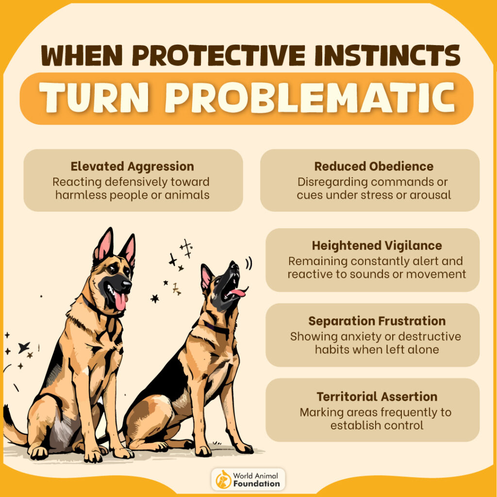 When Protective Instincts Turn Problematic-02