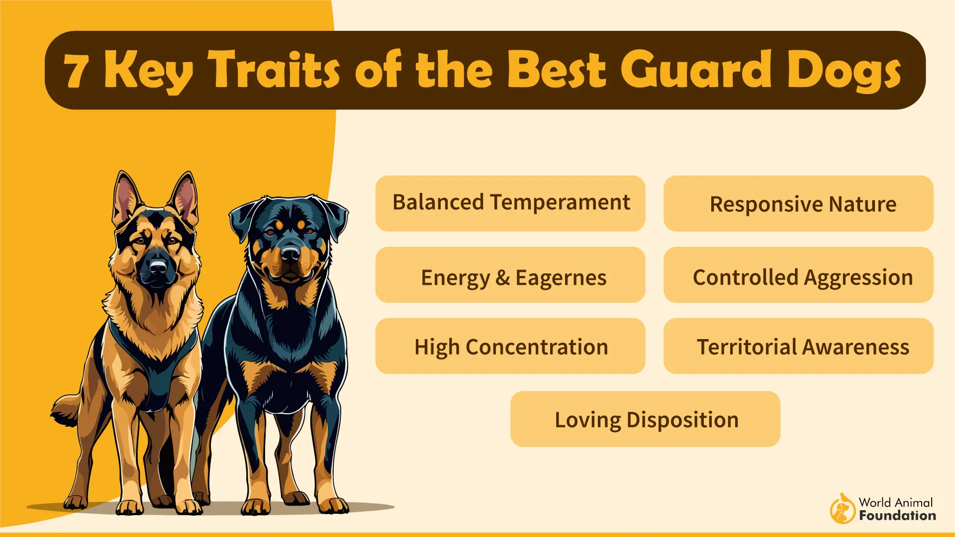 7 Key Traits of the Best Guard Dogs-01