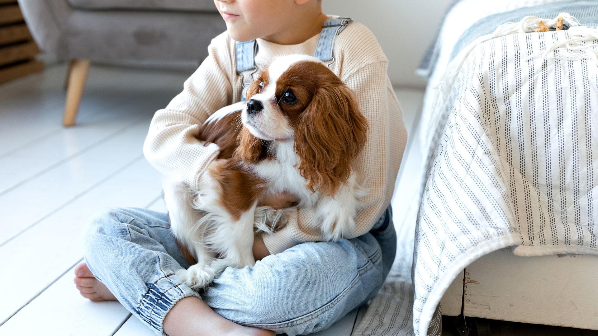 7 Most Patient Dog Breeds For Kids