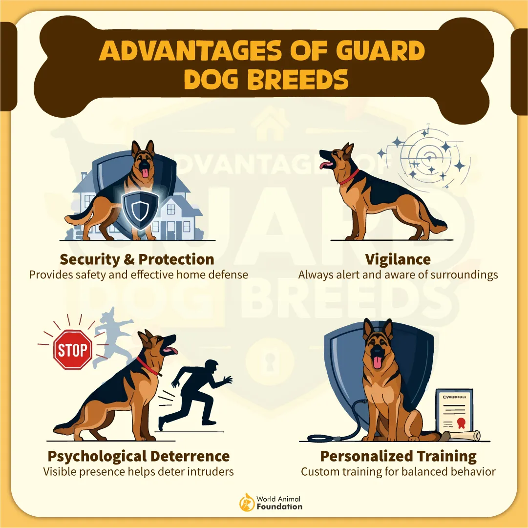 Advantages of Guard Dog Breeds-09