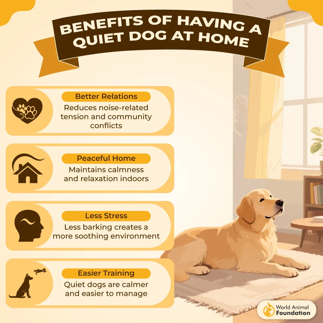 BENEFITS OF HAVING A QUIET DOG AT HOME-01