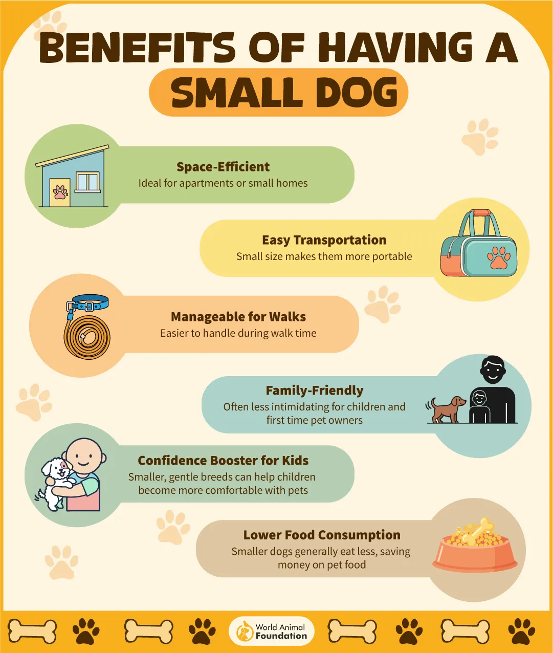 BENEFITS OF HAVING A SMALL DOG-06