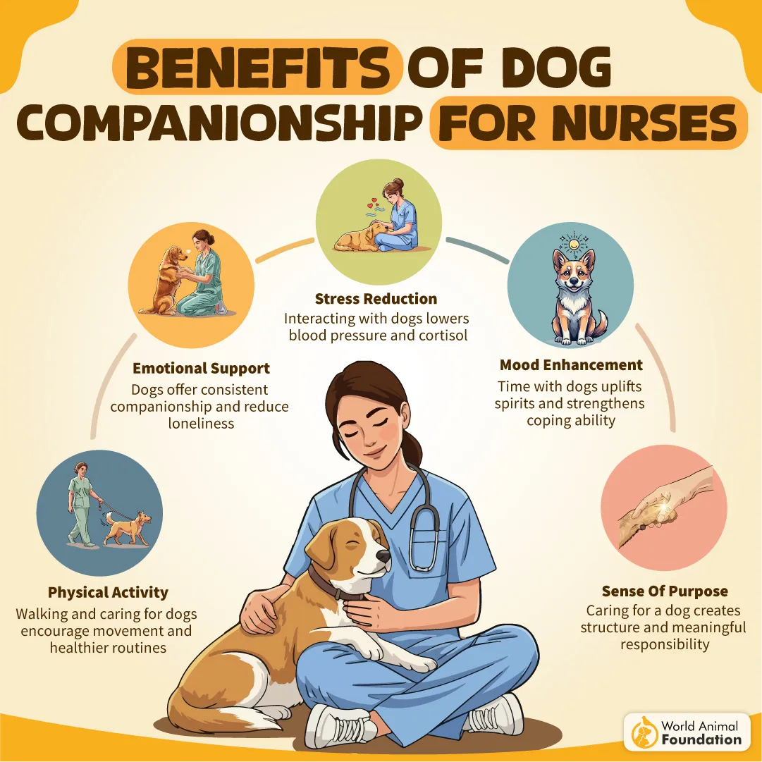 Benefits Of Dog Companionship For Nurses-08