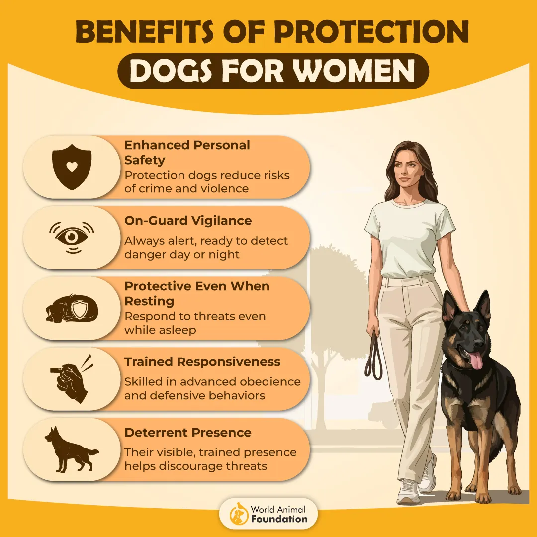 Benefits of Protection Dogs for Women-01