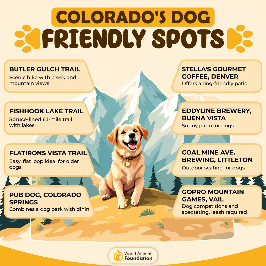 COLORADO_S DOG-FRIENDLY SPOTS-01