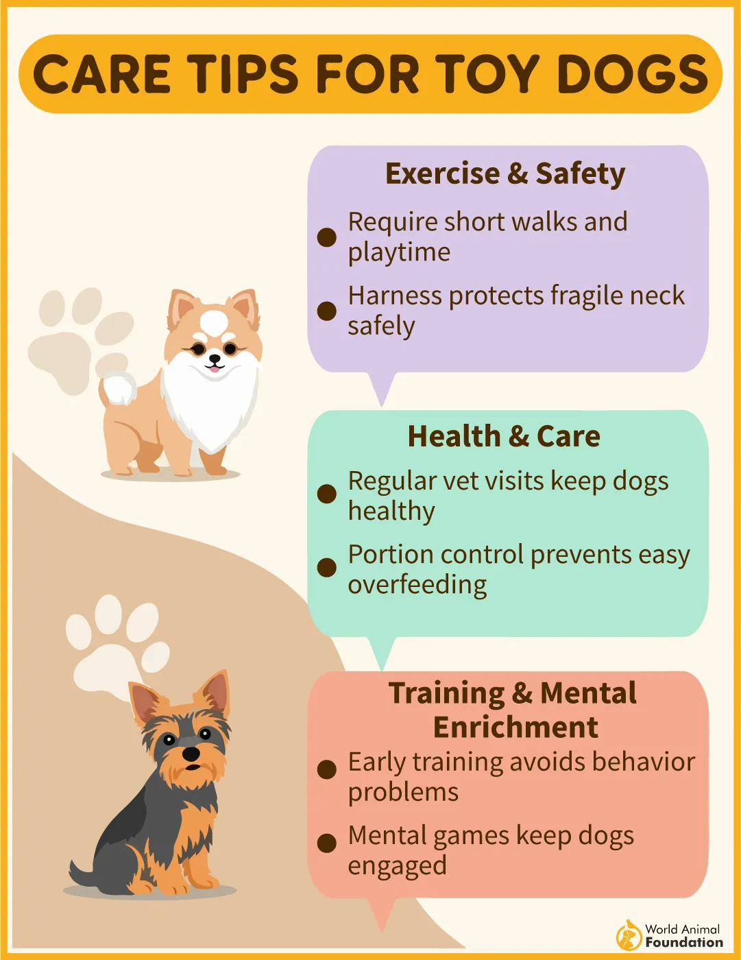 Care tips for tiny dogs