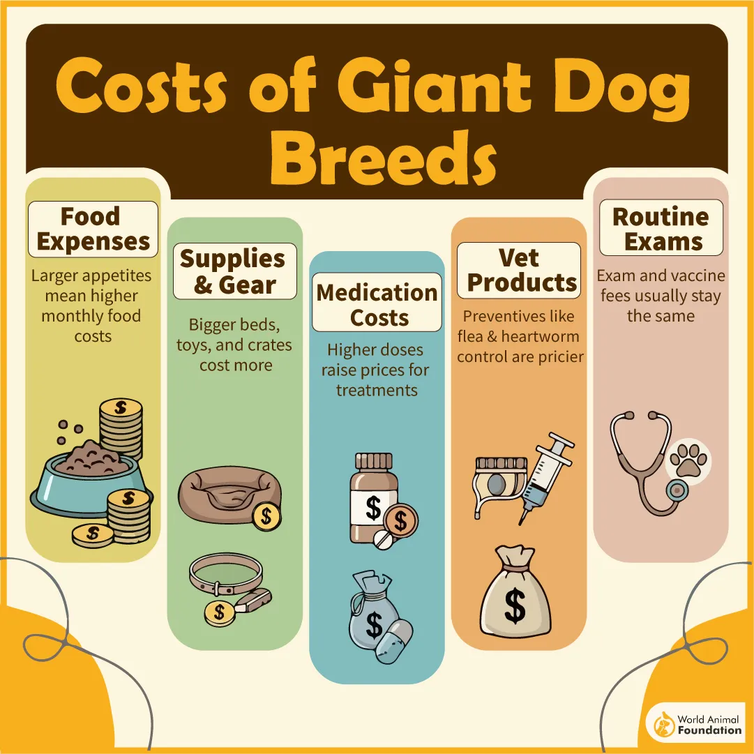 Costs of Giant Dog Breeds-05