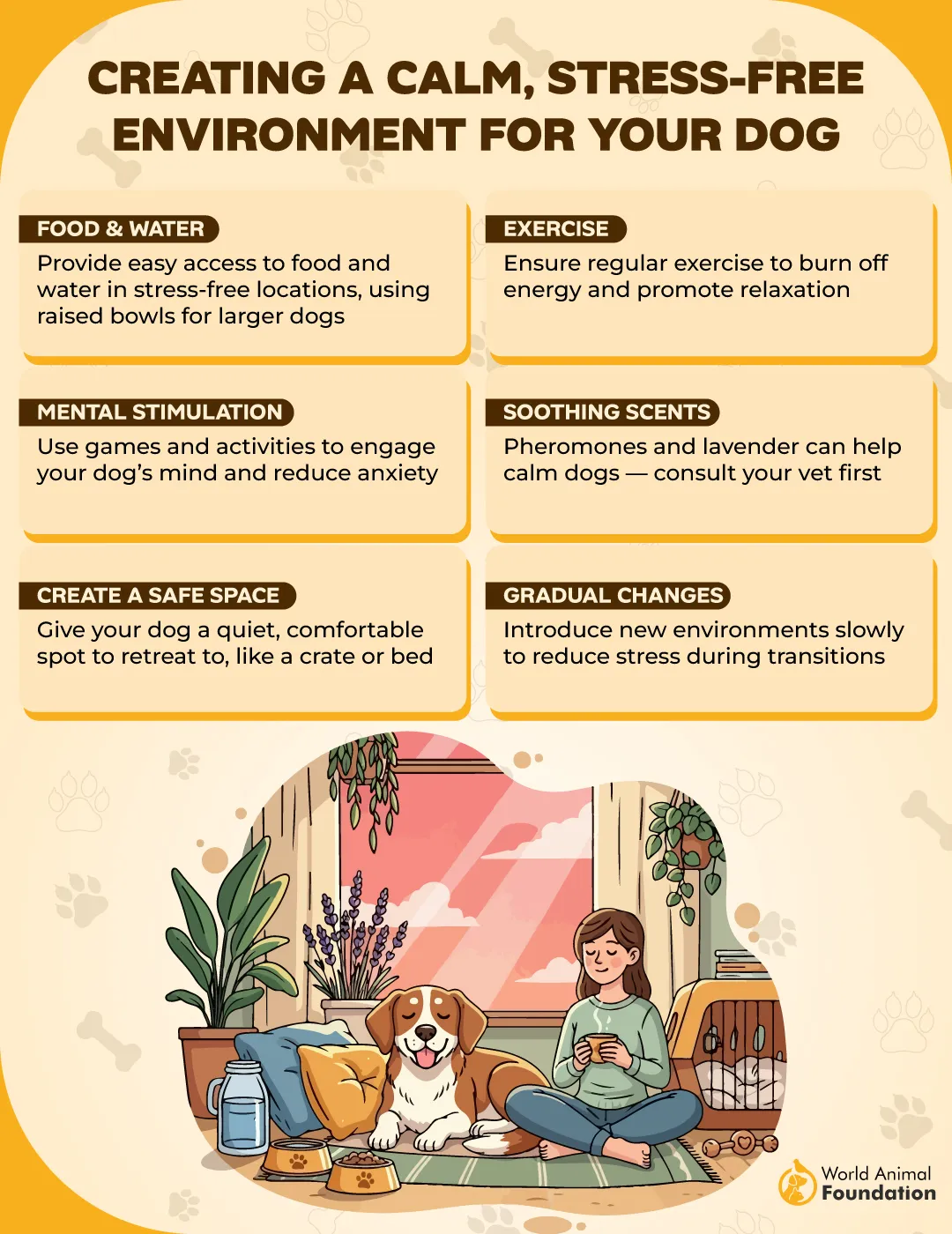 Creating a Calm, Stress-Free Environment for Your Dog-01