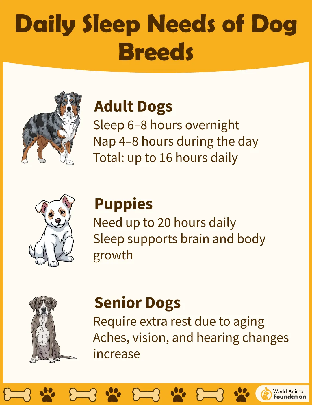 Daily Sleep Needs of Dogs-01