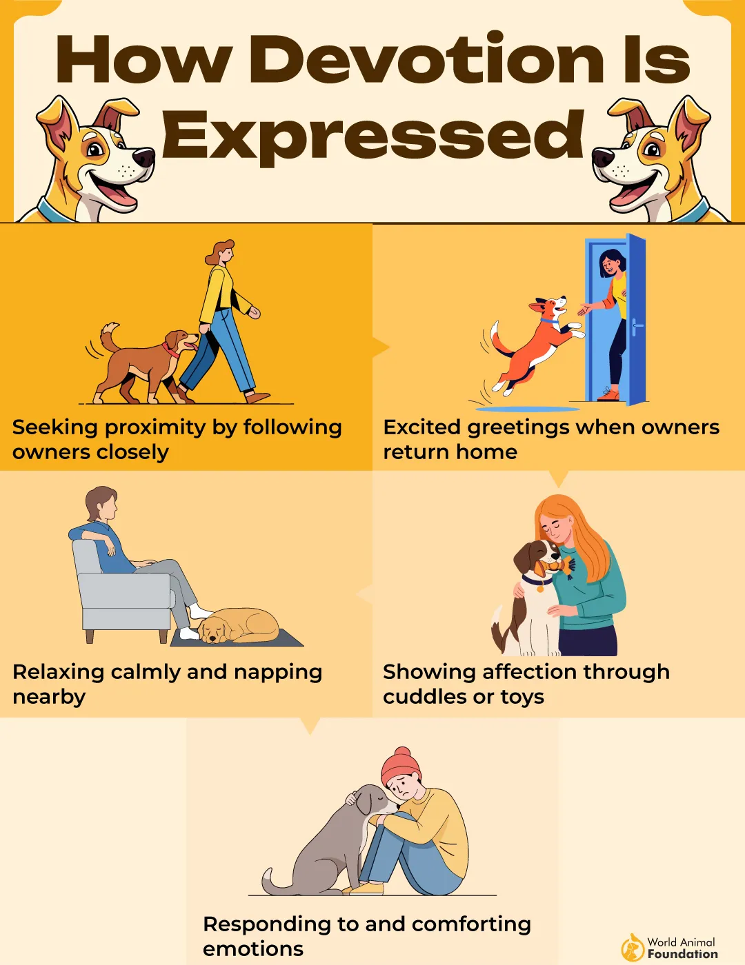 Devoted Dog Breeds-04