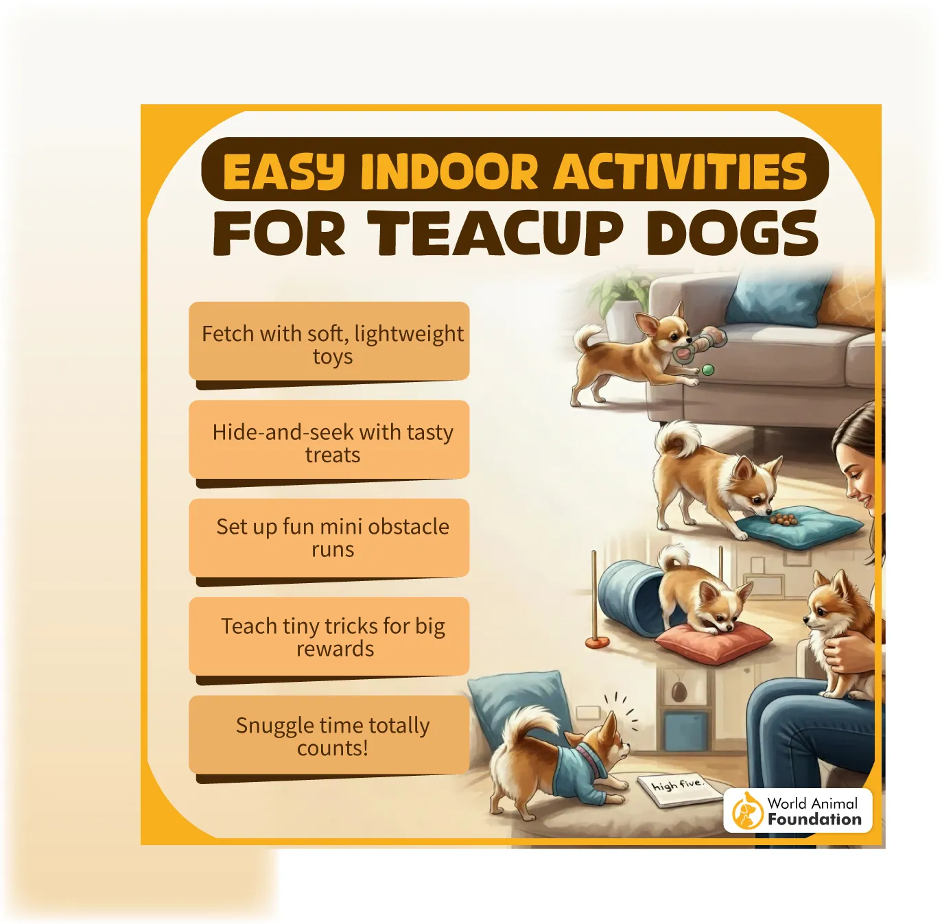 Easy Indoor Activities for Teacup Dogs