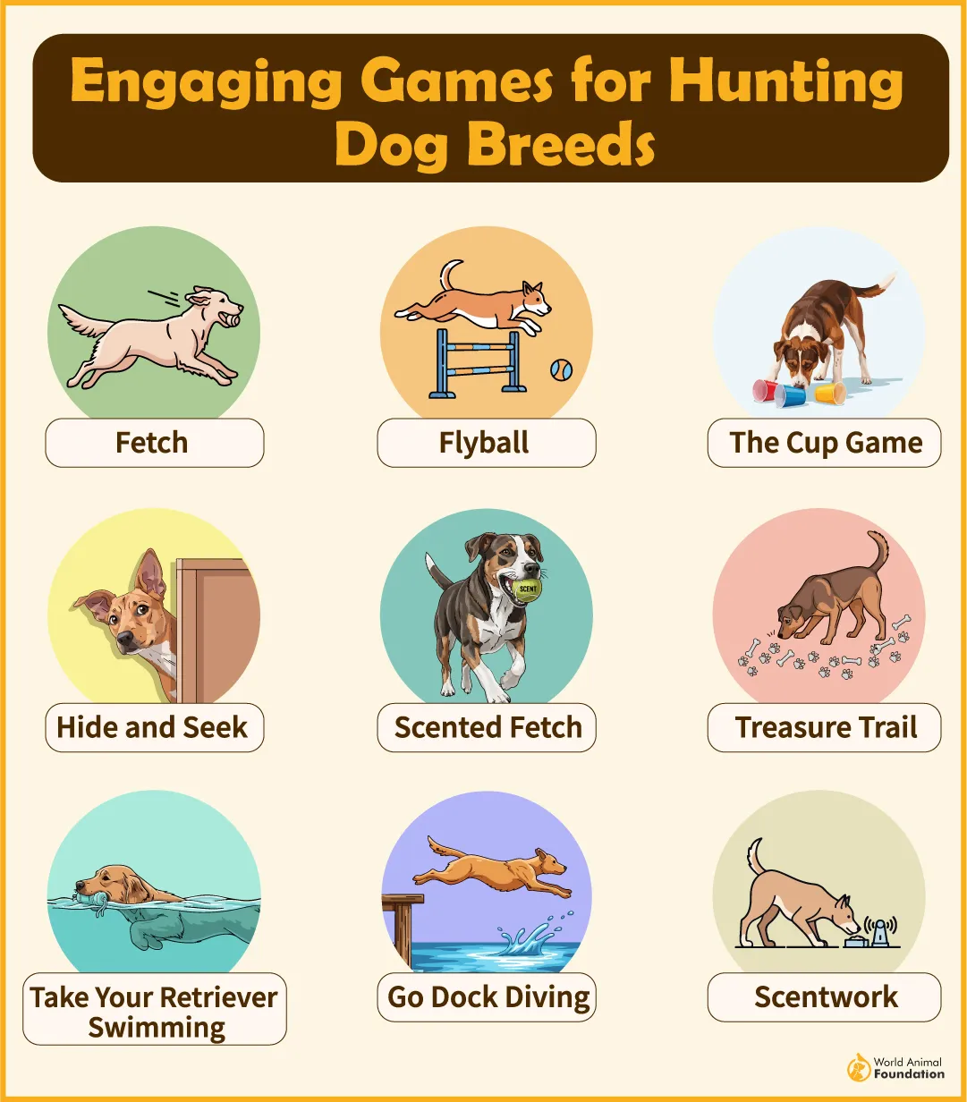 Engaging Games for Hunting Dog Breeds-08