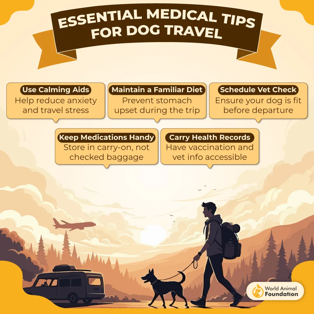 Essential Medical Tips for Dog Travel-01