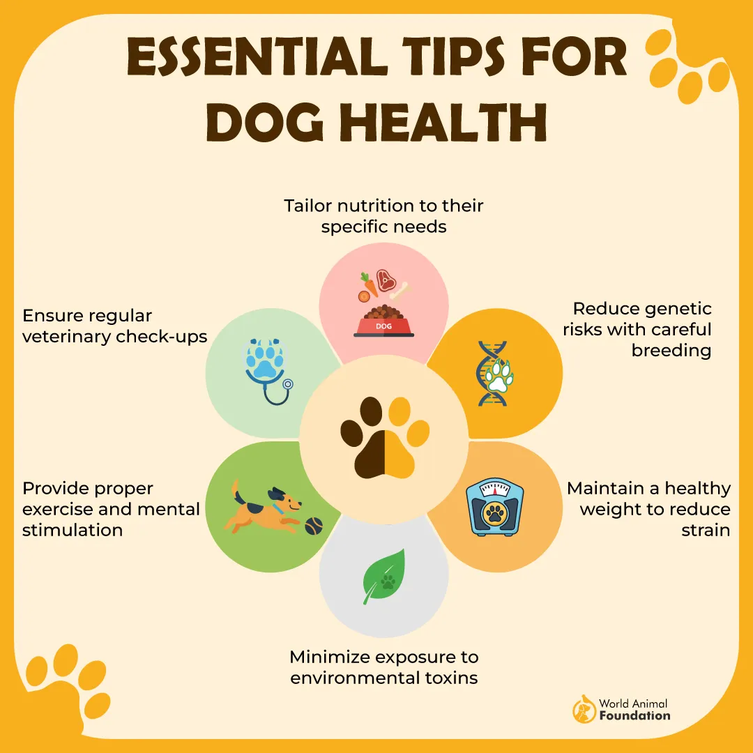 Essential Tips for Dog Health-01