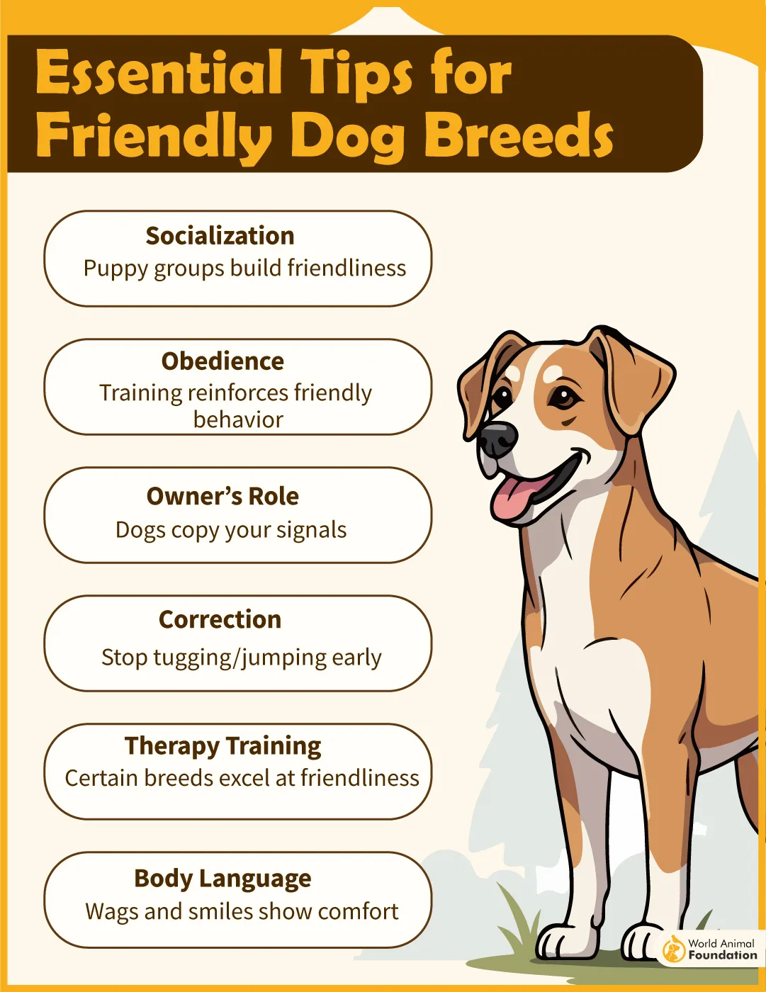 Essential Tips for Friendly Dog Breeds-03